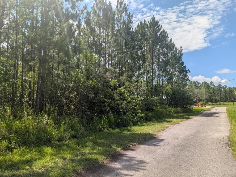 30 AMARYLLIS DRIVE Indian Lake Estates, FL 33855