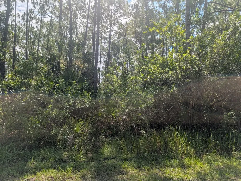 30 AMARYLLIS DRIVE Indian Lake Estates, FL 33855