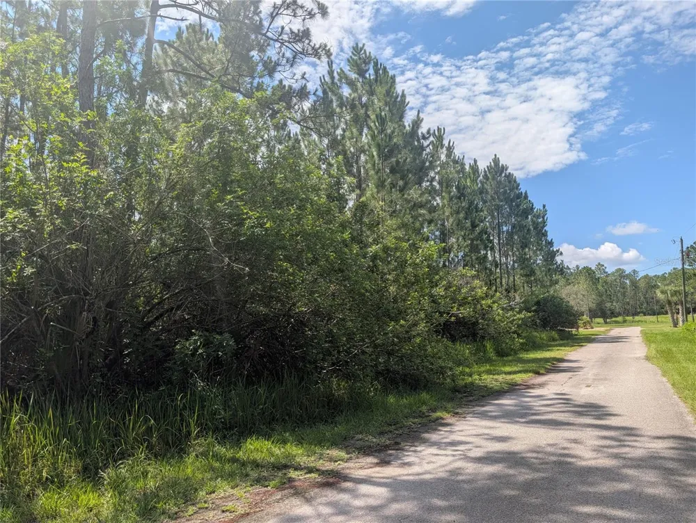 30 AMARYLLIS DRIVE Indian Lake Estates, FL 33855