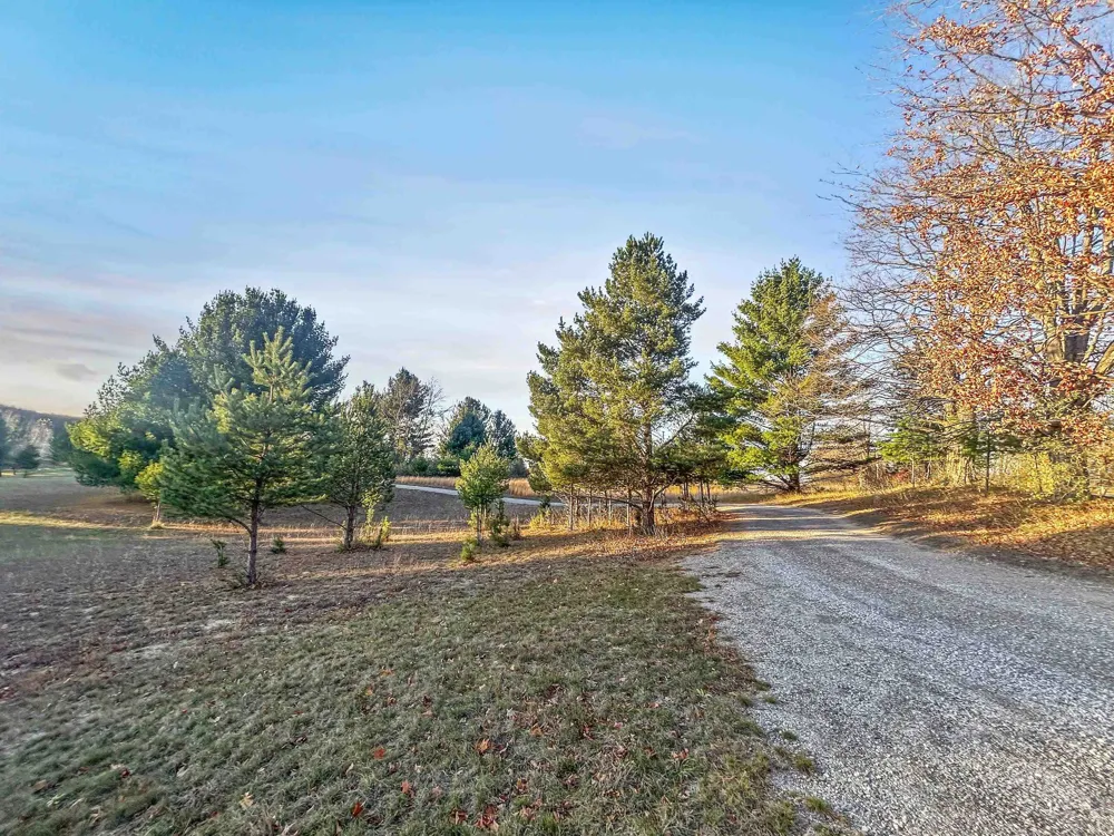 Baggs Road Whitewater Township, MI 49690