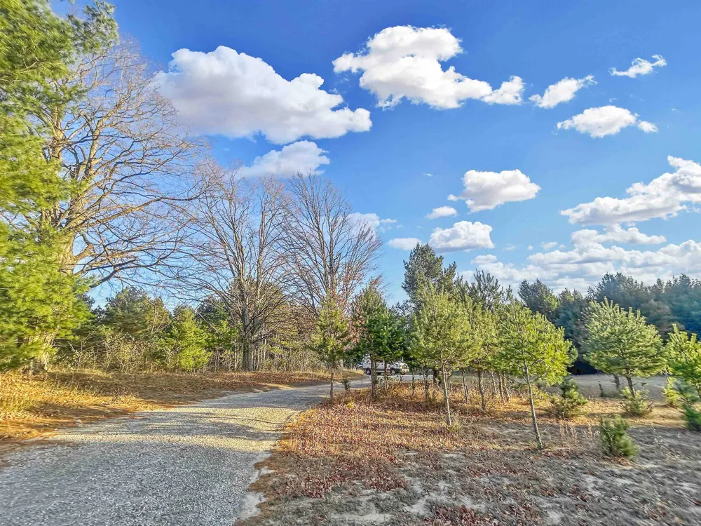 Baggs Road Whitewater Township, MI 49690
