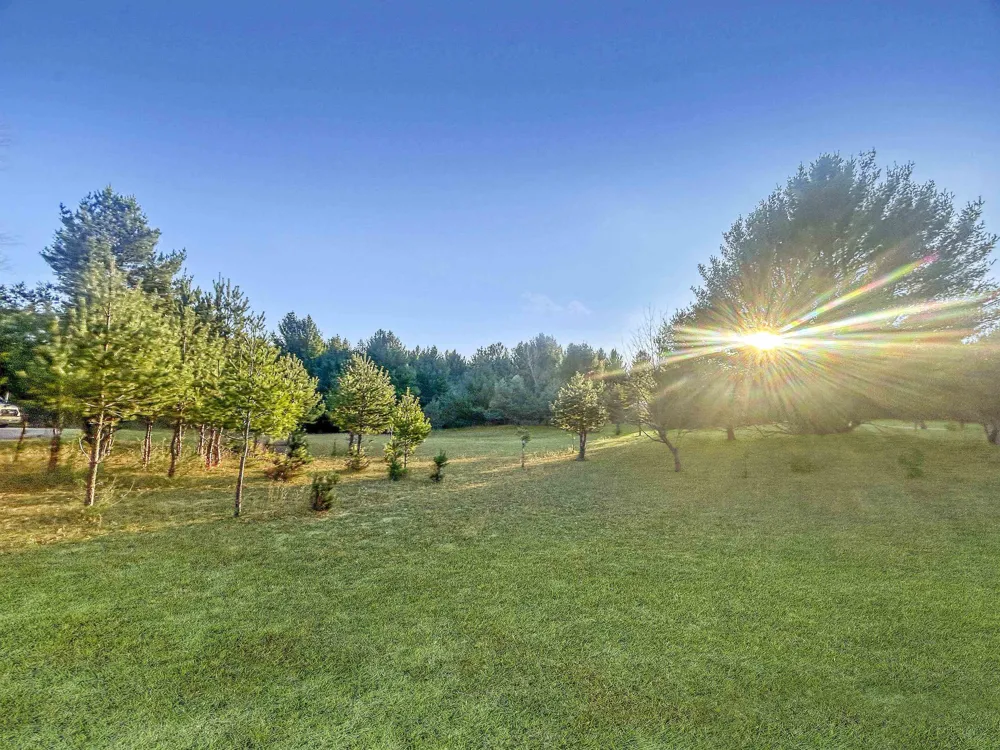 Baggs Road Whitewater Township, MI 49690
