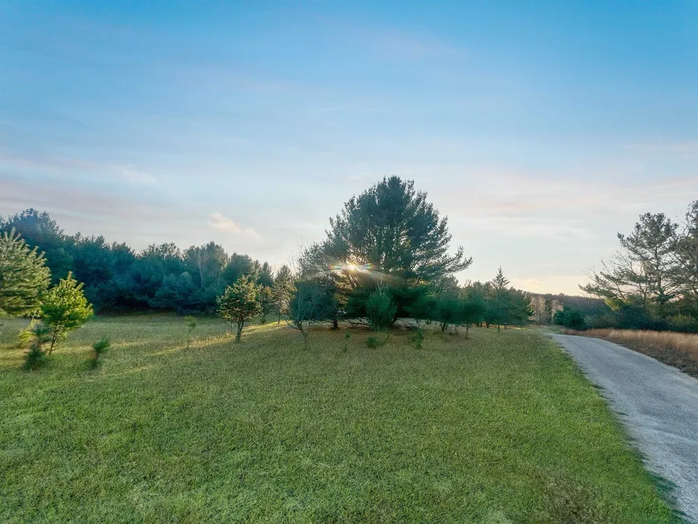 Baggs Road Whitewater Township, MI 49690