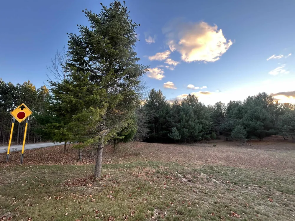 Baggs Road Whitewater Township, MI 49690