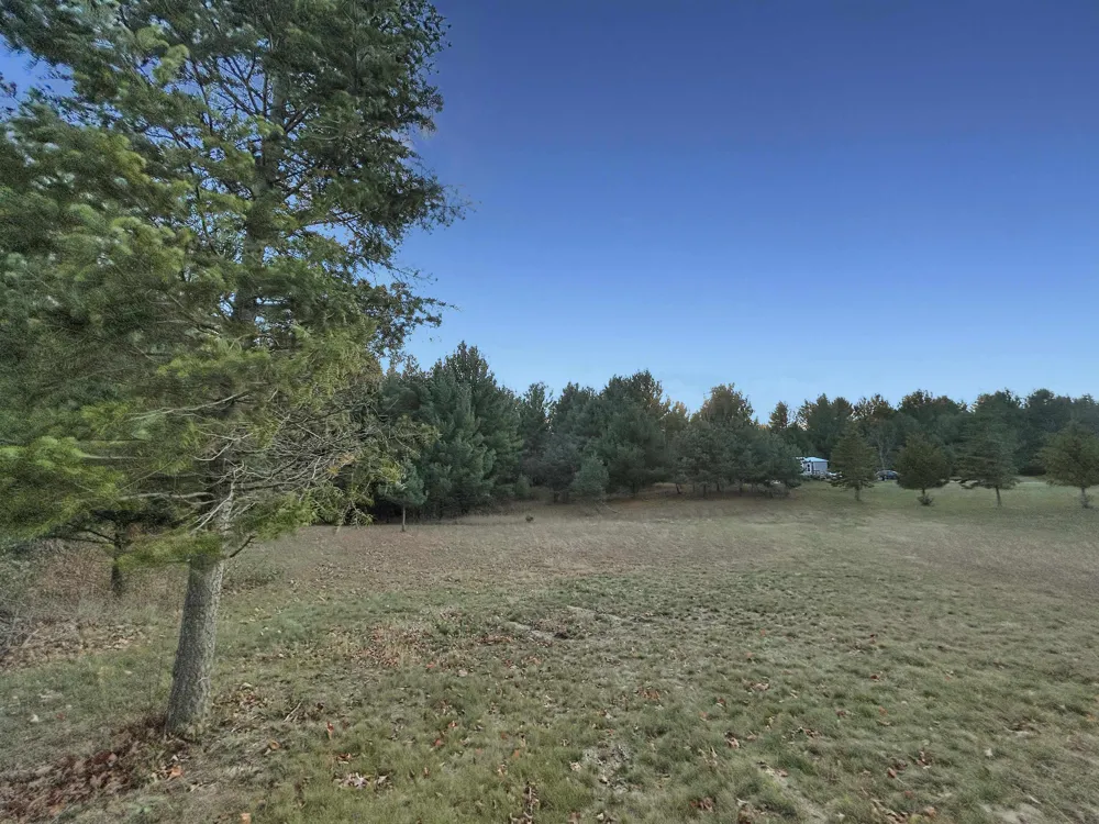 Baggs Road Whitewater Township, MI 49690