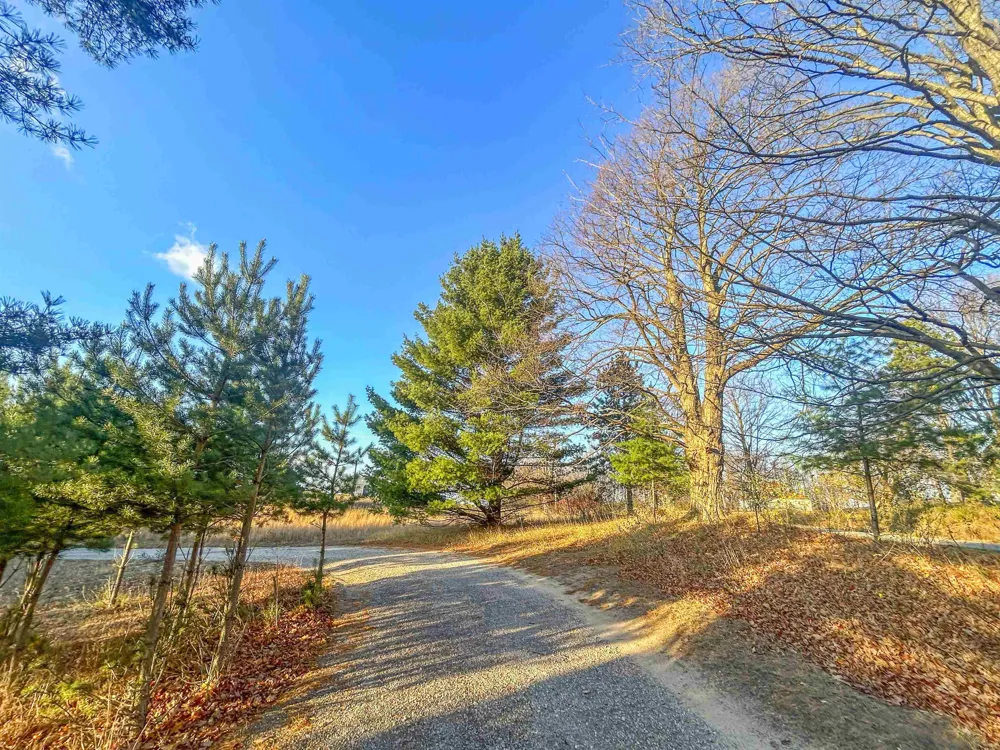 Baggs Road Whitewater Township, MI 49690
