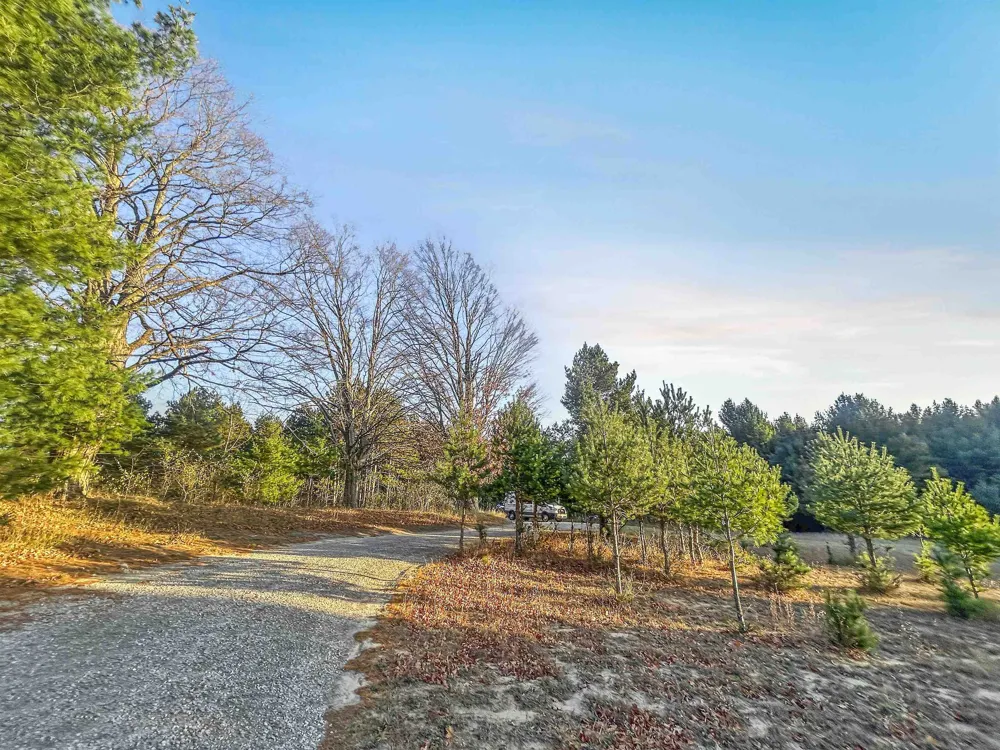 Baggs Road Whitewater Township, MI 49690