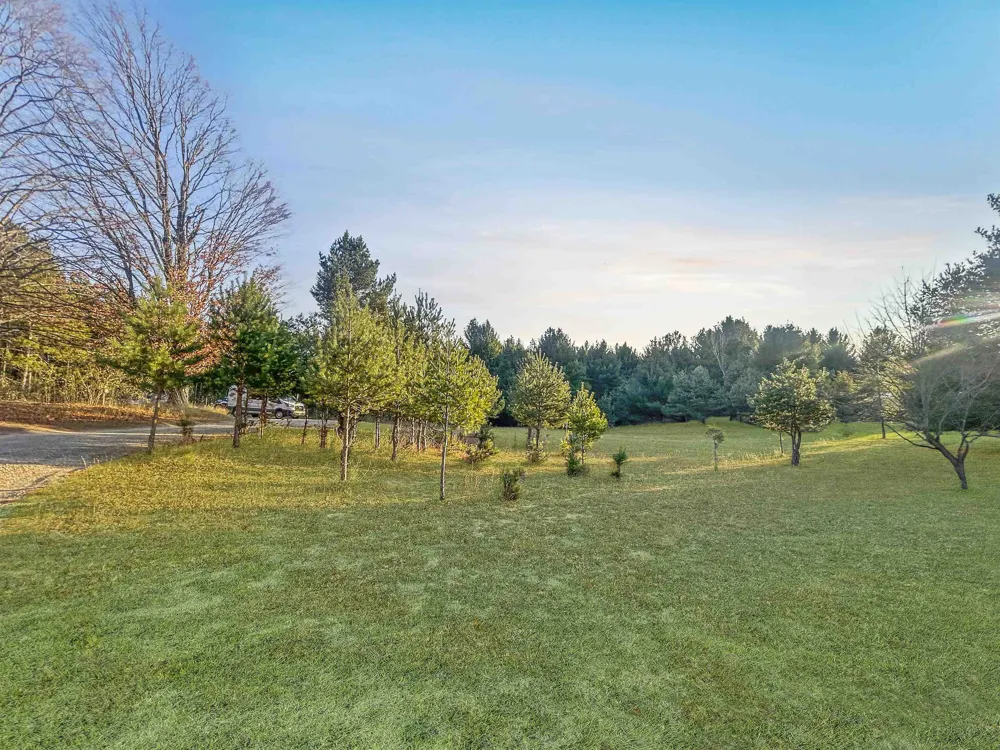 Baggs Road Whitewater Township, MI 49690