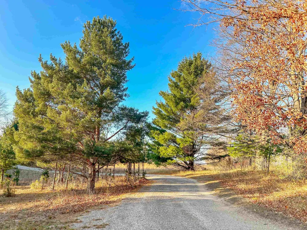 Baggs Road Whitewater Township, MI 49690