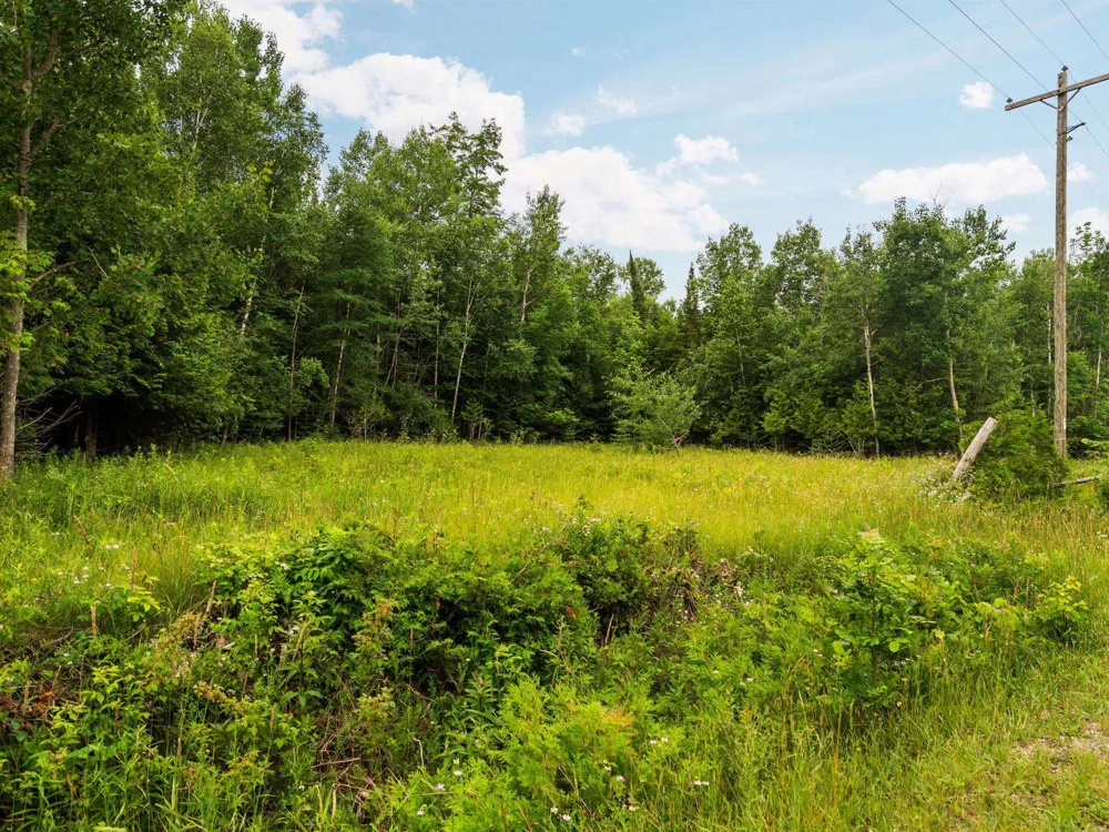 Creswell Road Torch Lake Township, MI 49648