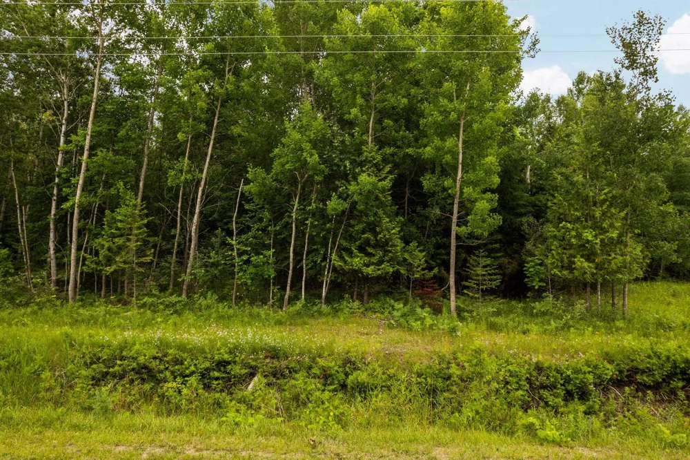 Creswell Road Torch Lake Township, MI 49648