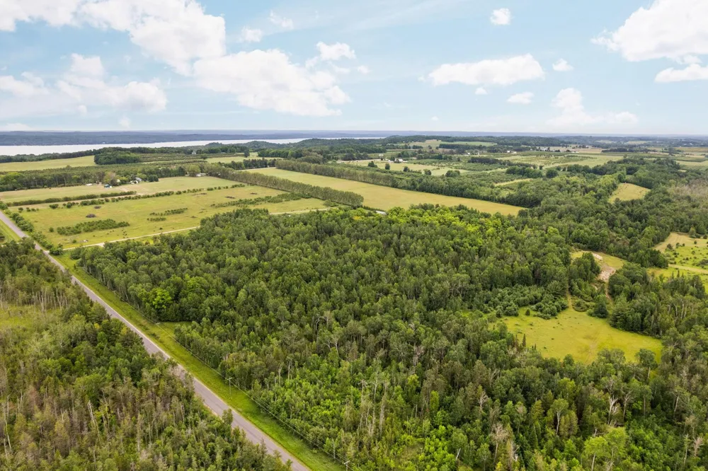 Creswell Road Torch Lake Township, MI 49648