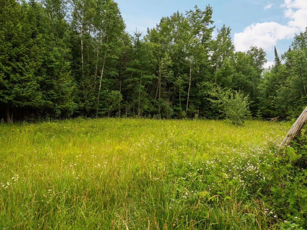 Creswell Road Torch Lake Township, MI 49648