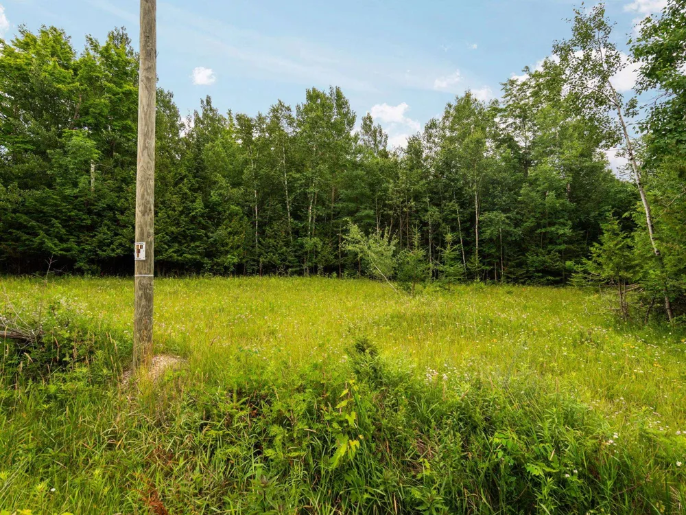 Creswell Road Torch Lake Township, MI 49648