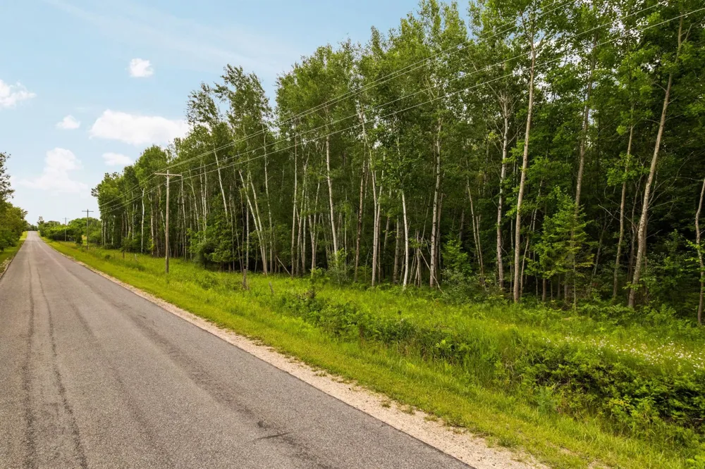 Creswell Road Torch Lake Township, MI 49648