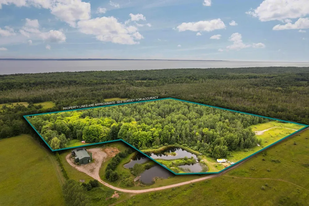 Creswell Road Torch Lake Township, MI 49648