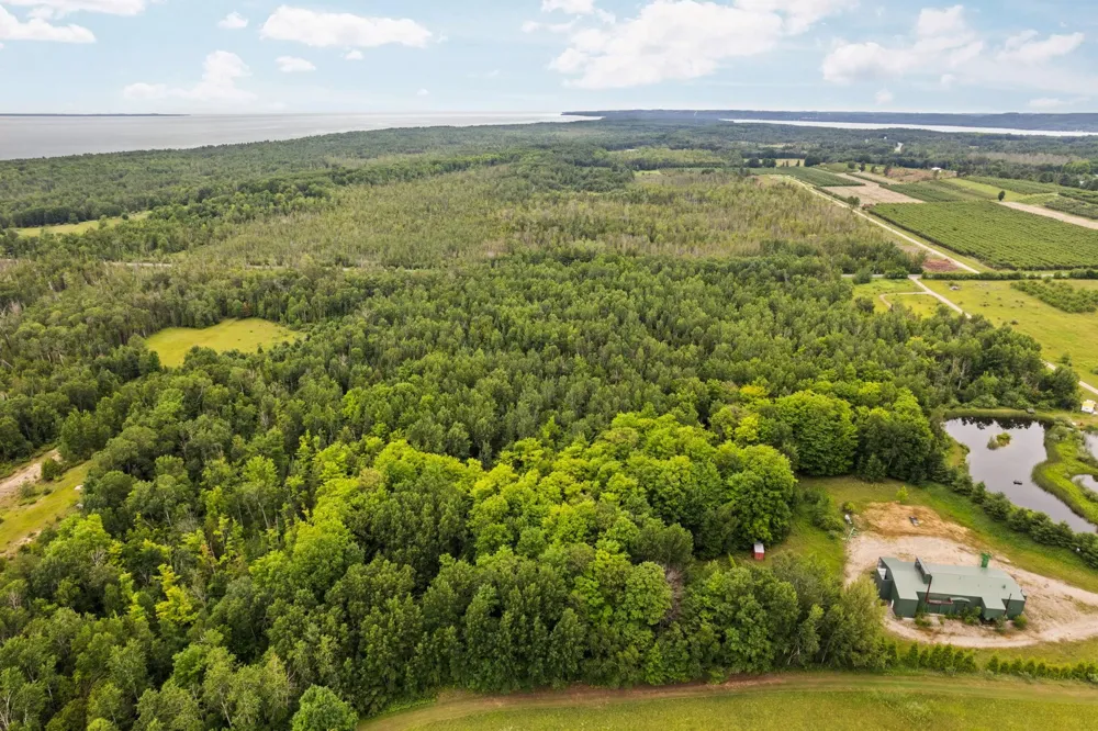 Creswell Road Torch Lake Township, MI 49648