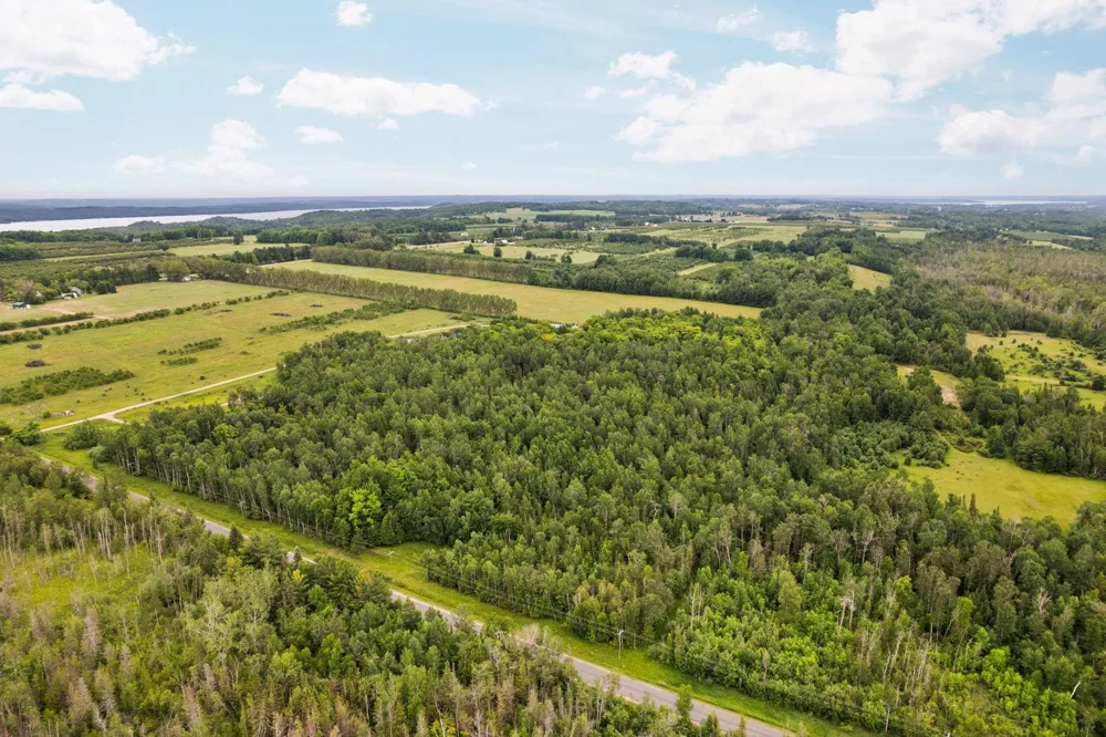 Creswell Road Torch Lake Township, MI 49648