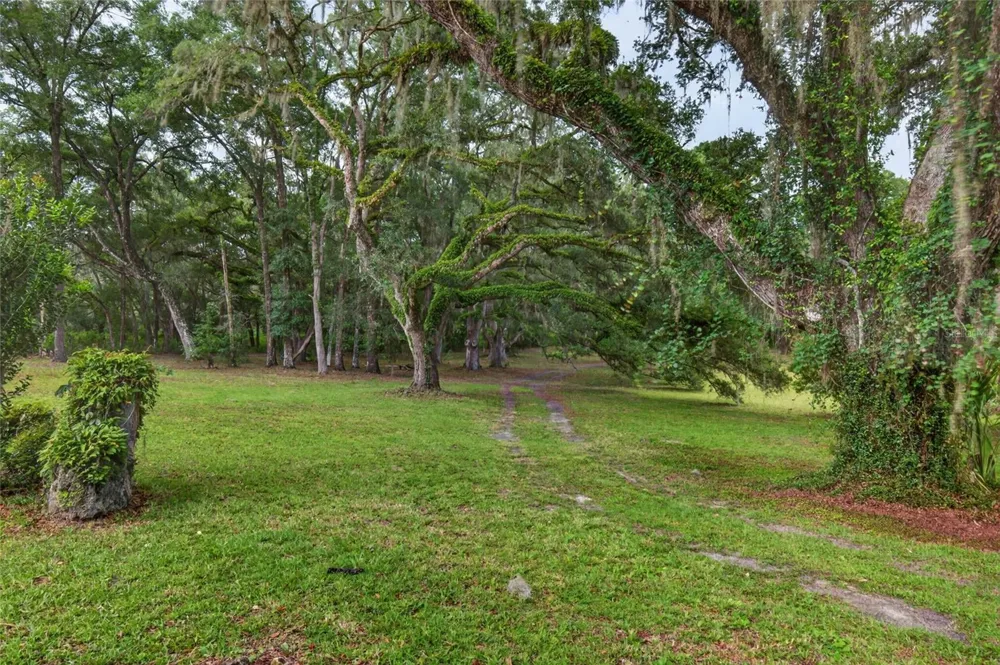 11795 SW HIGHWAY 484 Dunnellon, FL 34432