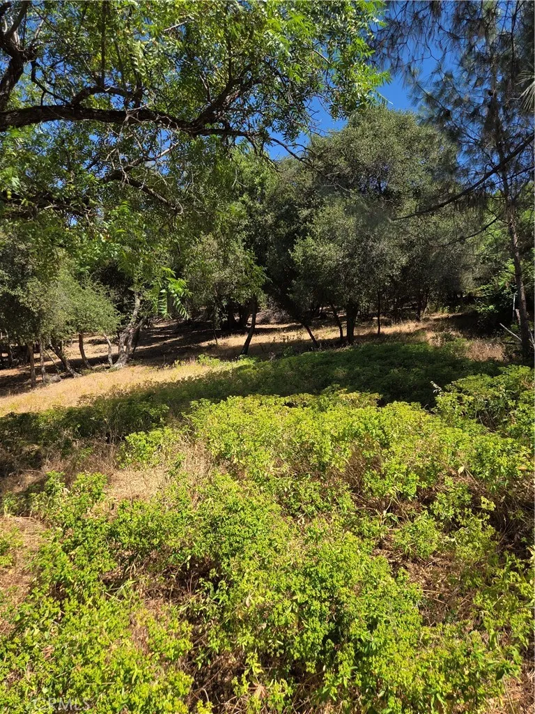 4860 Cascade Way Kelseyville, CA 95451