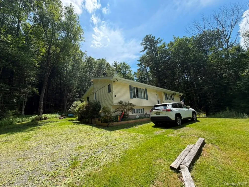 60 Highland Lake Road Eldred, NY 12732