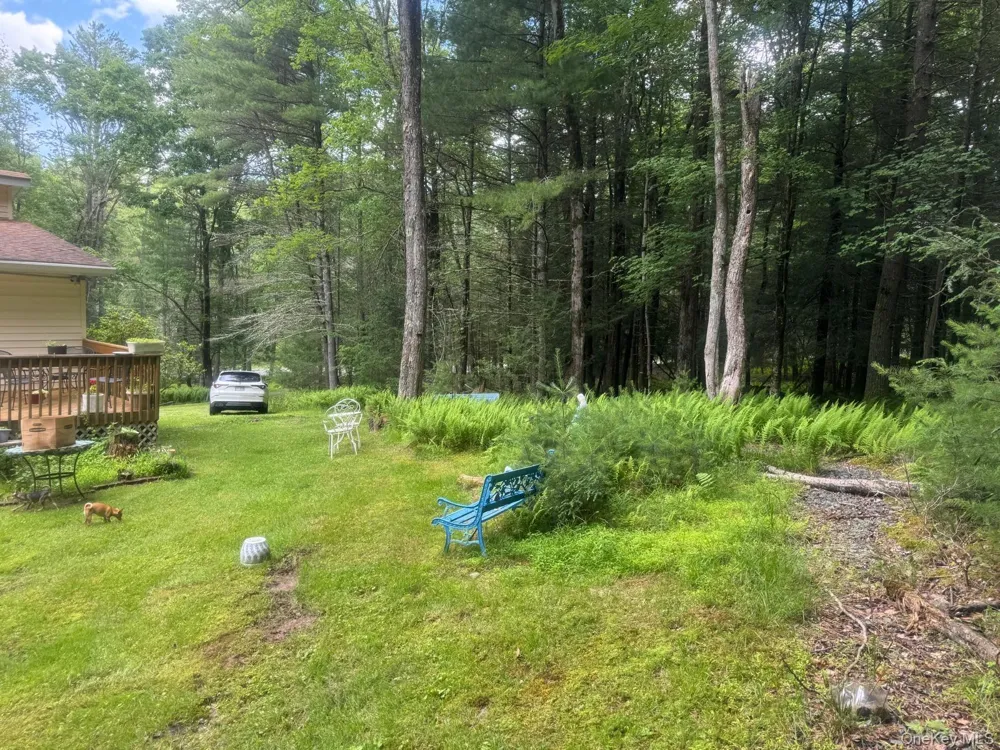 60 Highland Lake Road Eldred, NY 12732