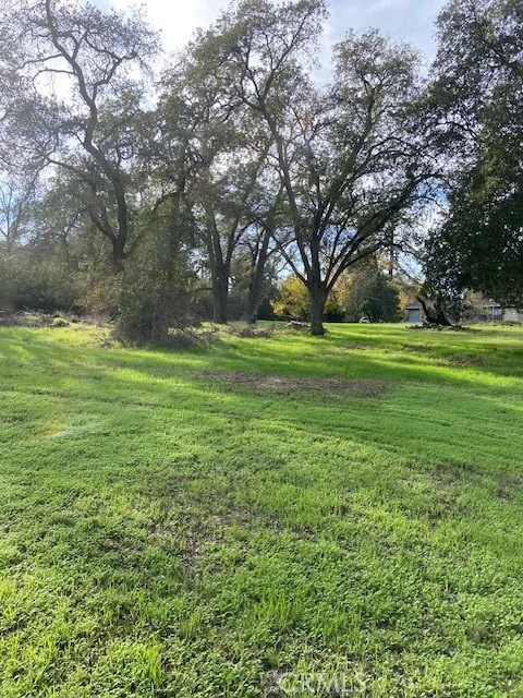 2804 California Avenue Carmichael, CA 95608