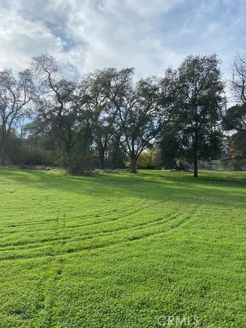 2804 California Avenue Carmichael, CA 95608