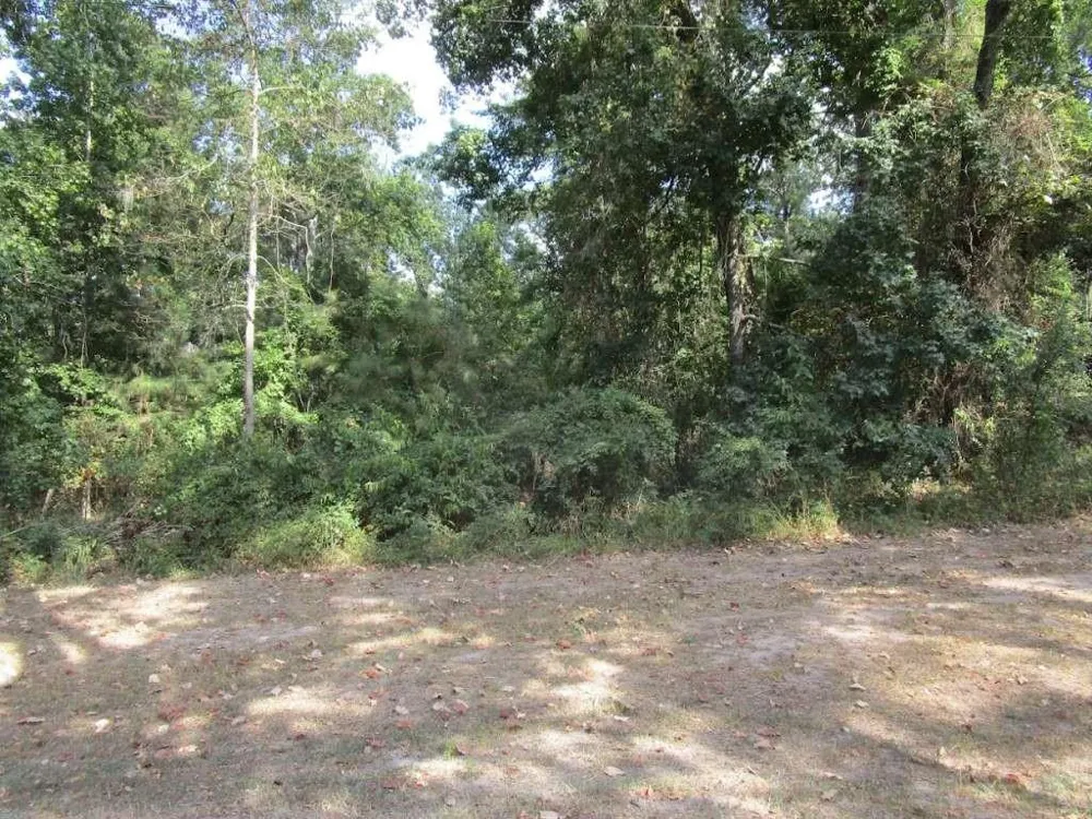 183 Lakeland Road Huntsville, TX 77320
