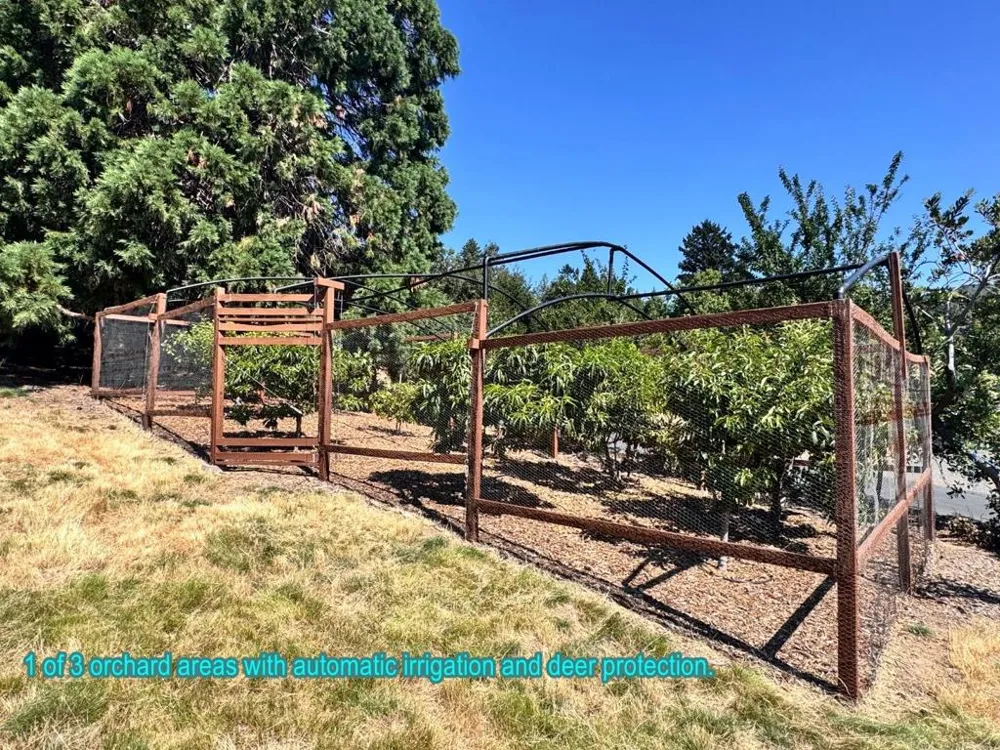 20378 Black Road Los Gatos, CA 95033