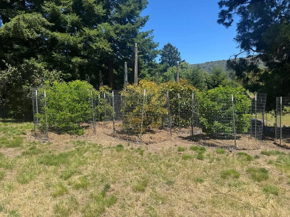 20378 Black Road Los Gatos, CA 95033