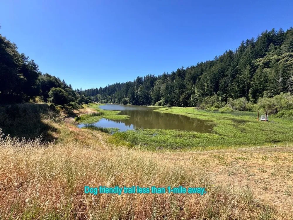 20378 Black Road Los Gatos, CA 95033