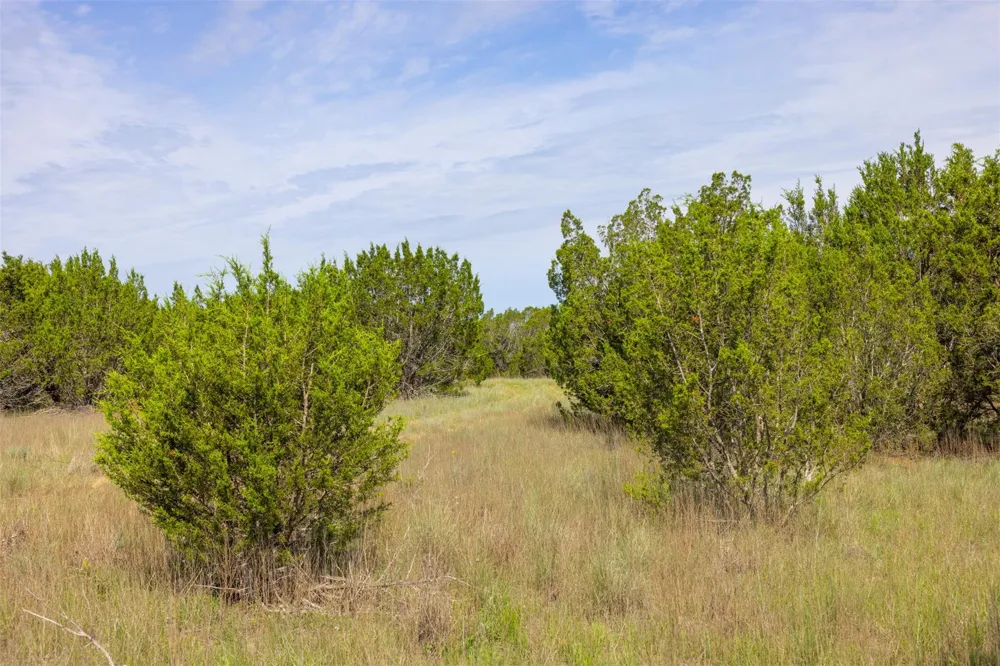 County Road 2773 Lometa, TX 76853