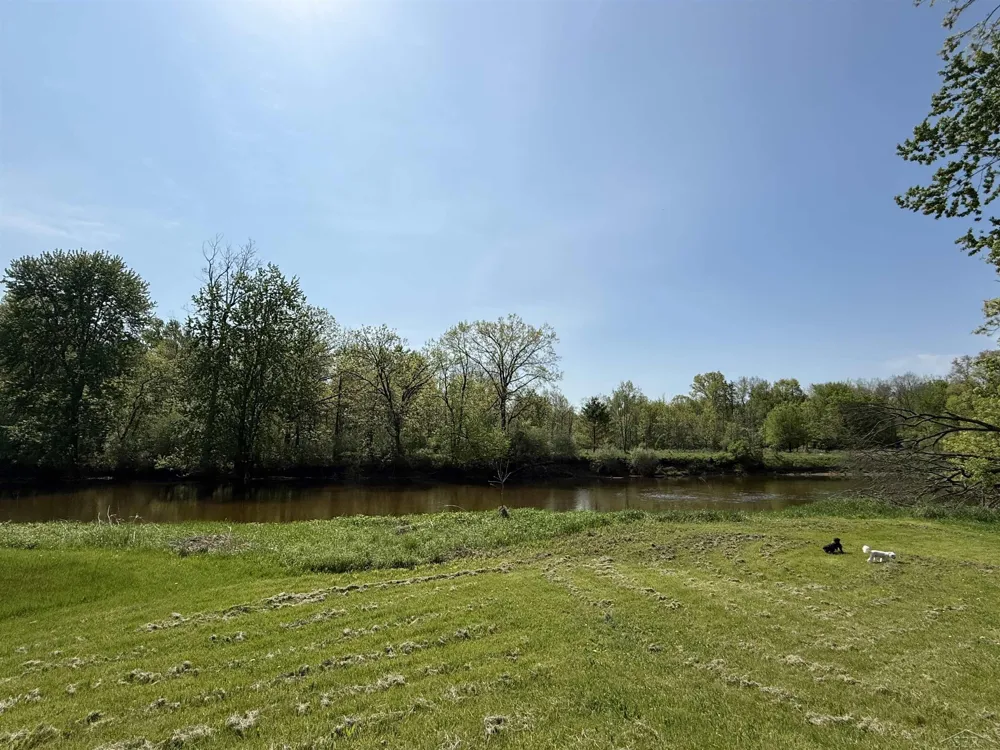 1864 E Chippewa River Road Homer Township, MI 48640