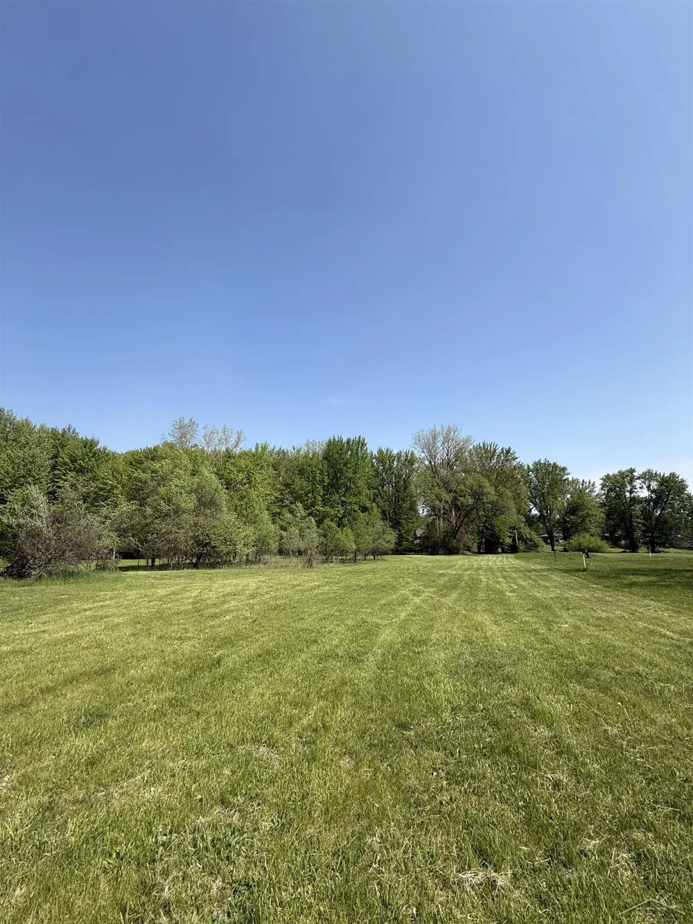 1864 E Chippewa River Road Homer Township, MI 48640