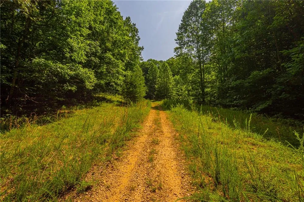 00 Old Cherokee Way Dawsonville, GA 30534