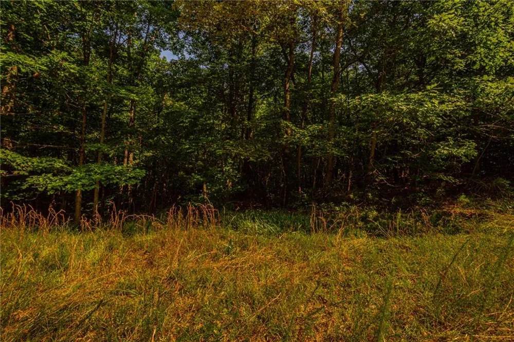 00 Old Cherokee Way Dawsonville, GA 30534