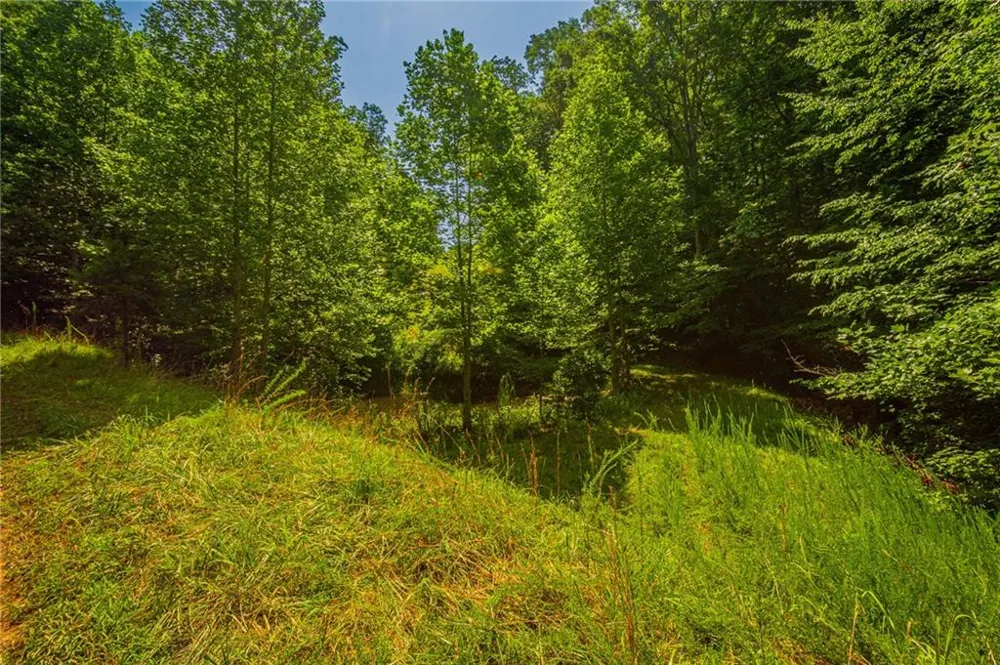 00 Old Cherokee Way Dawsonville, GA 30534