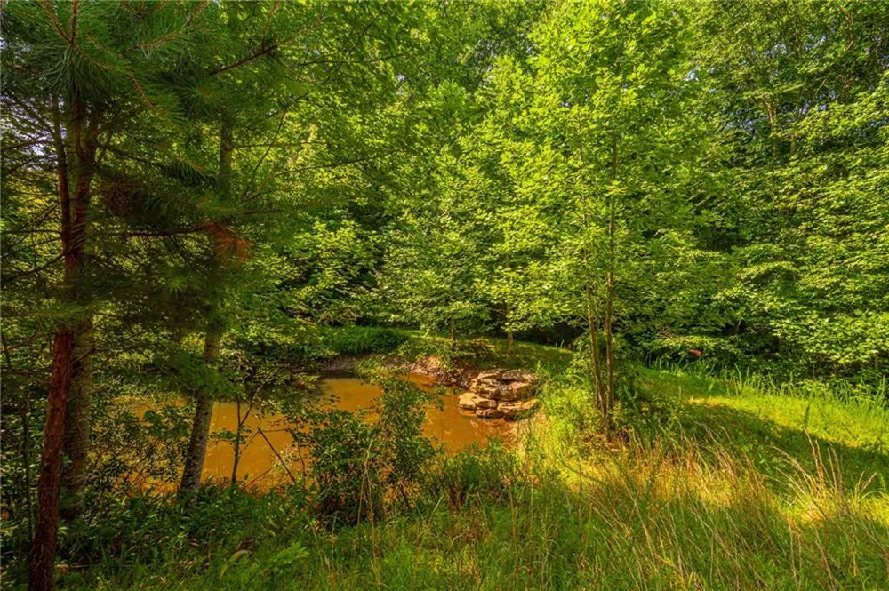 00 Old Cherokee Way Dawsonville, GA 30534