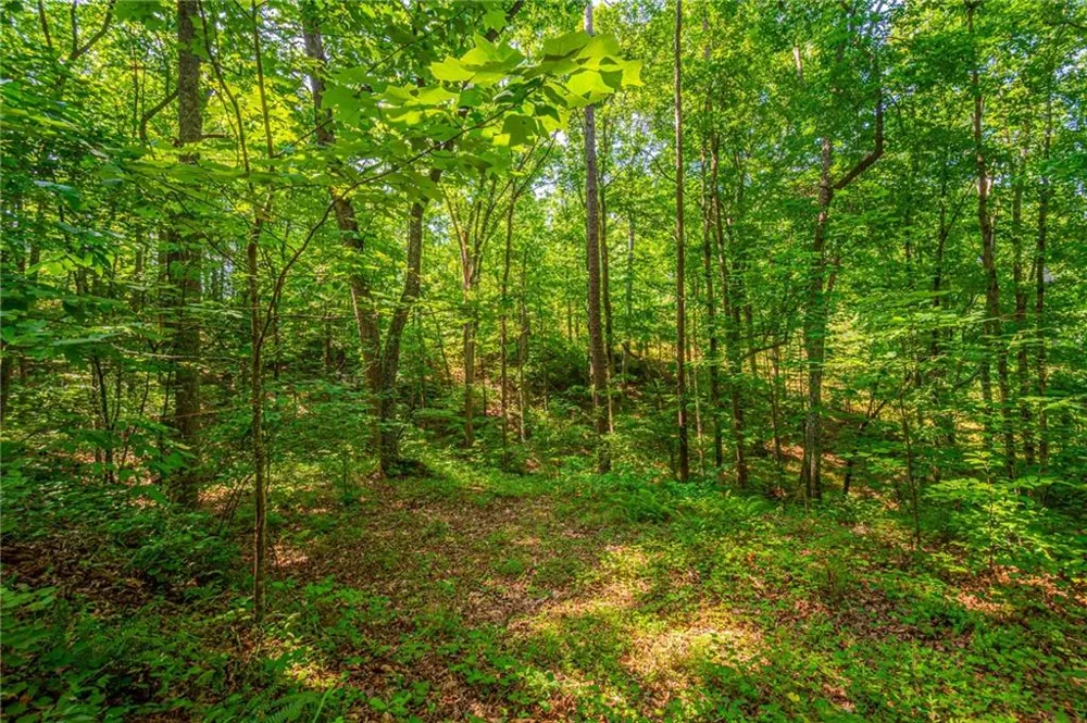 00 Old Cherokee Way Dawsonville, GA 30534