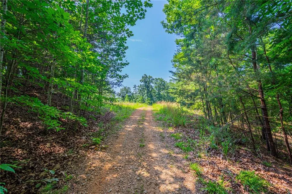 00 Old Cherokee Way Dawsonville, GA 30534