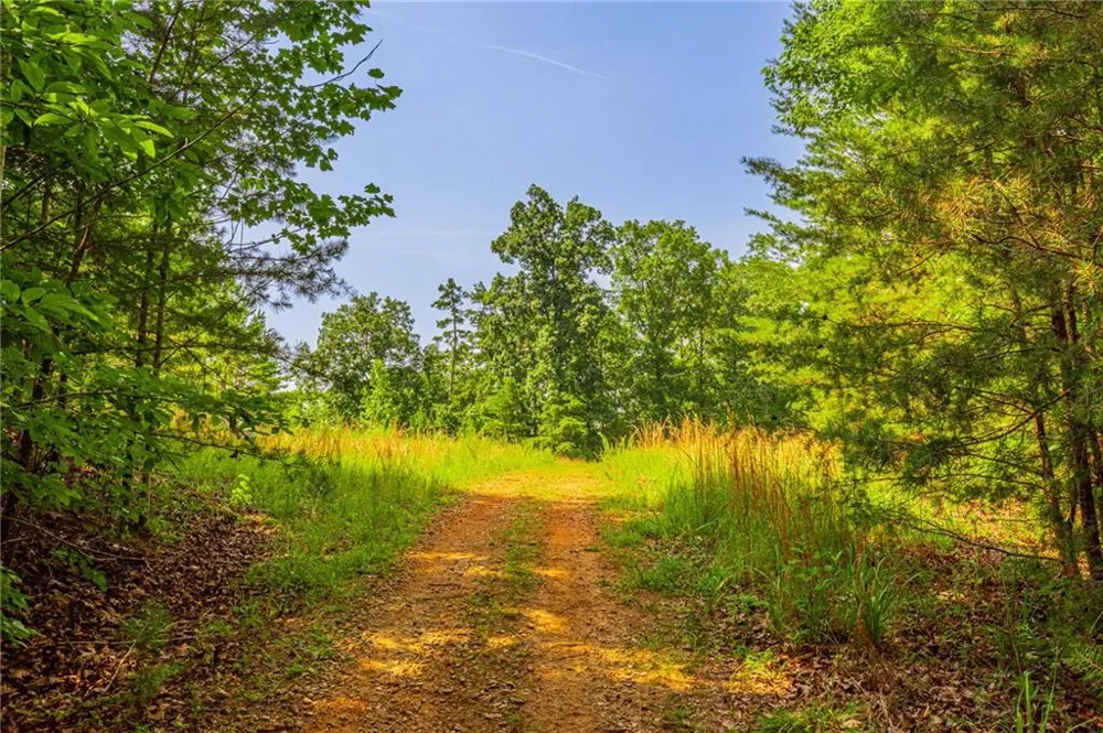 00 Old Cherokee Way Dawsonville, GA 30534