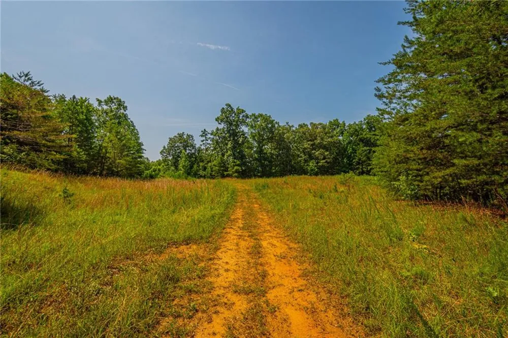 00 Old Cherokee Way Dawsonville, GA 30534