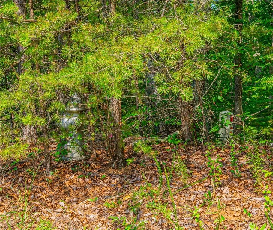 00 Old Cherokee Way Dawsonville, GA 30534