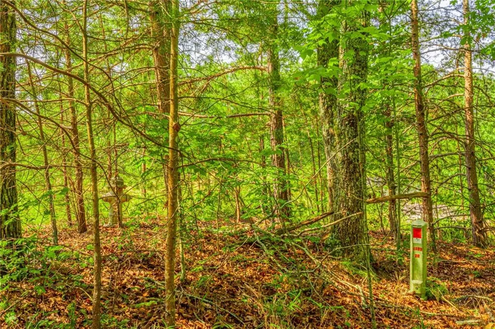 00 Old Cherokee Way Dawsonville, GA 30534