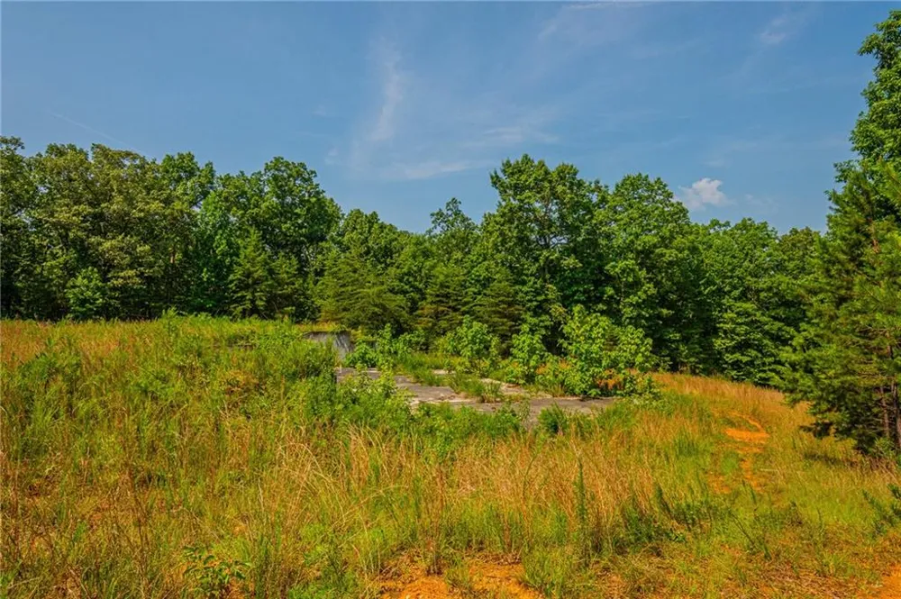 00 Old Cherokee Way Dawsonville, GA 30534