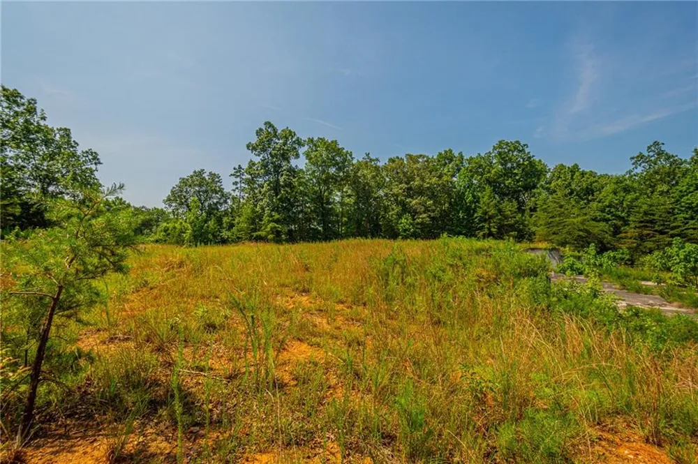 00 Old Cherokee Way Dawsonville, GA 30534