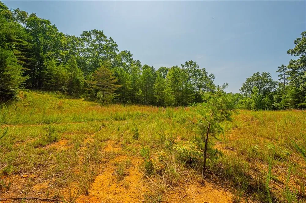 00 Old Cherokee Way Dawsonville, GA 30534