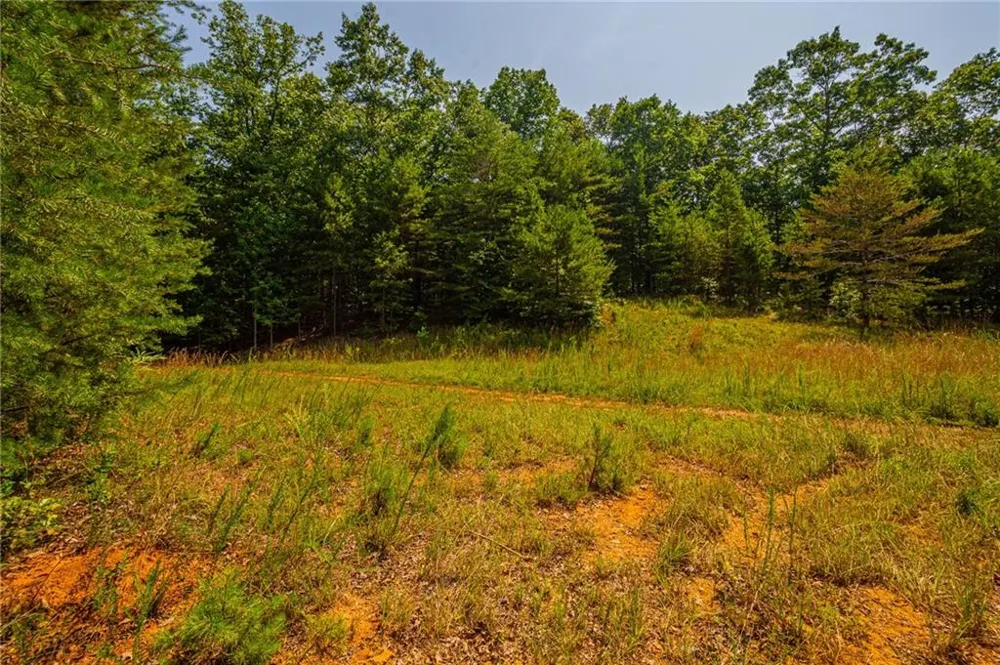 00 Old Cherokee Way Dawsonville, GA 30534