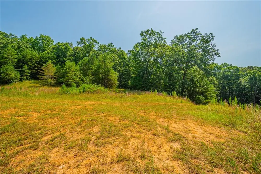 00 Old Cherokee Way Dawsonville, GA 30534